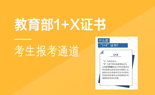 教育部1+X证书